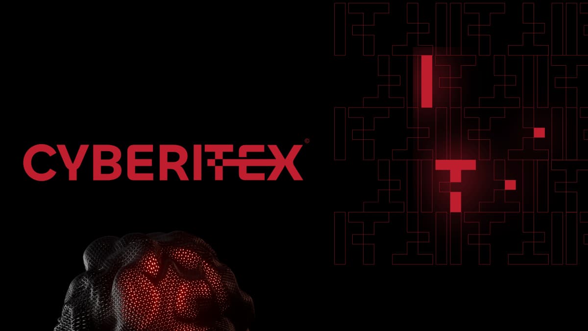 About CyberITEX